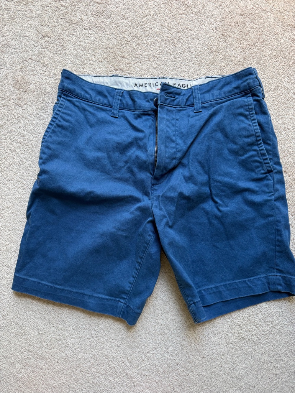American Eagle Outfitters Men’s Blue Flat Front Chino Shorts size 31